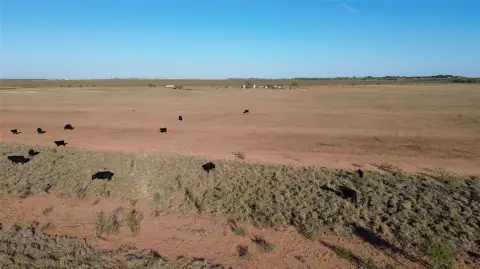 Ranch with Mobile Home