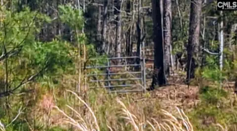 Winnsboro Acreage with Development Potential