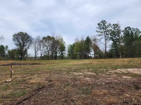 Winona, TX Residential Land