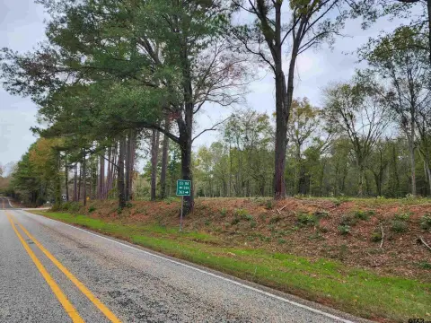 Winona, TX Residential Land