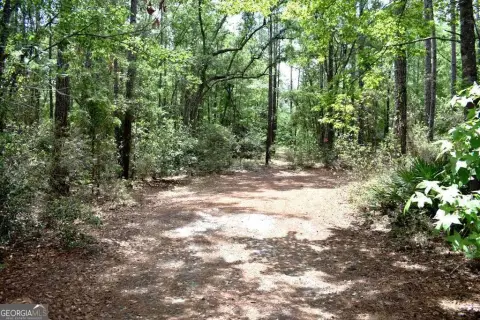 Two Acre Lot in Ellabell
