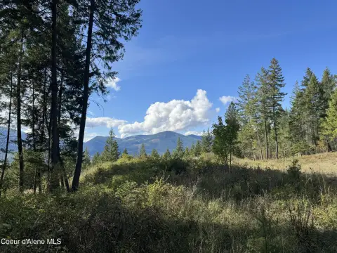 10 Acres of Mountain View Land
