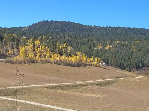 Wayan, ID Acreage in Gated Community