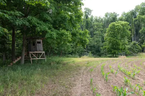Turnkey Hunting Land with Pole Building
