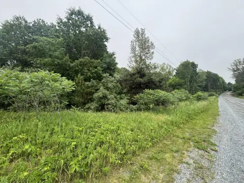 Wooded Lake-Adjacent Residential Lot