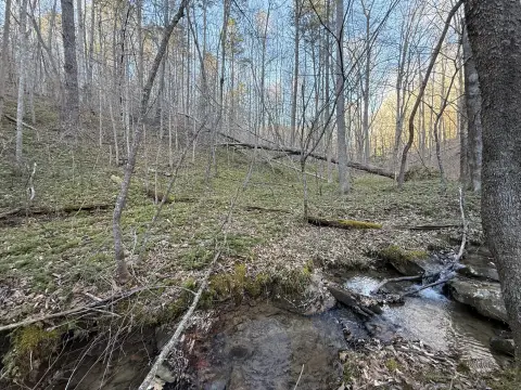 Kentucky Land with Creek