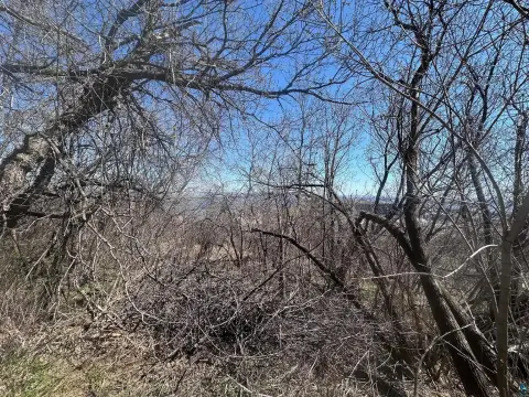 Duluth Residential Lot with View