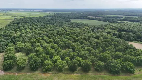 Hunting and Pecan Land Tract