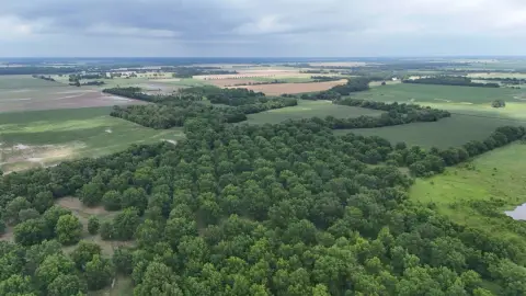 Agricultural Land Tract with Pecan Grove