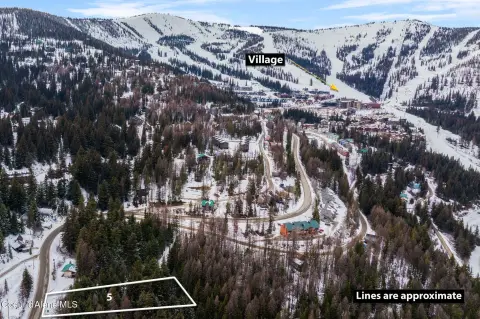 Schweitzer Mountain Vacant Land