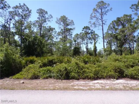 Residential Lot in Punta Gorda