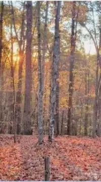 Land in Blackberry Creek Subdivision