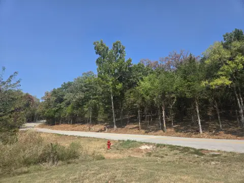 Wooded Commercial Land