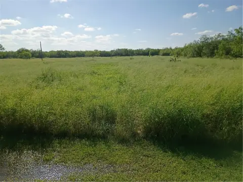 Acreage Homesite with Room for Outbuildings