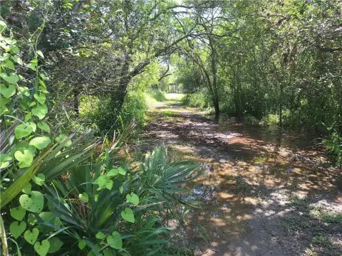 Riverfront Buildable Land Lot