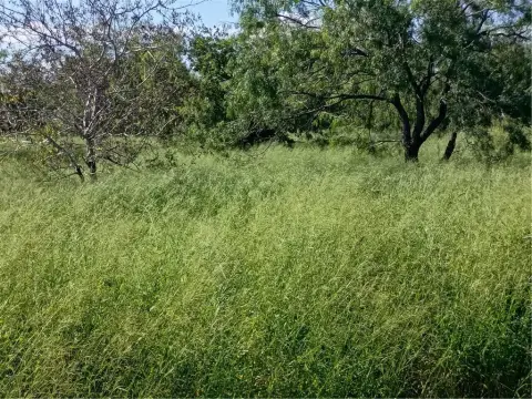 Residential Acreage Home Site
