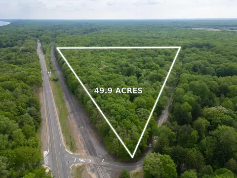 Tree Farm Development Land
