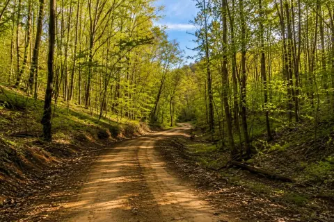 Secluded Mountain Recreational Land