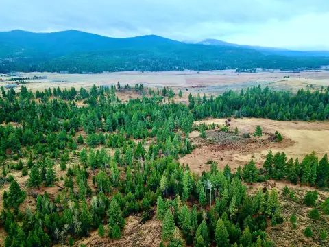 Recreational Land Bordering State Land