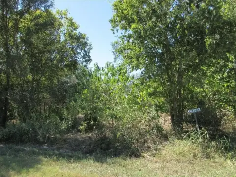 Residential Land in Marlin, TX