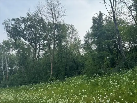 Acreage Lot with Lake Views