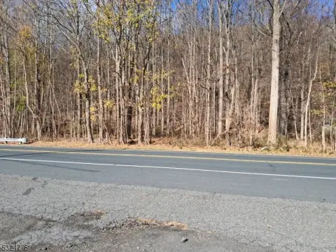 Highway Commercial Land on Route 46