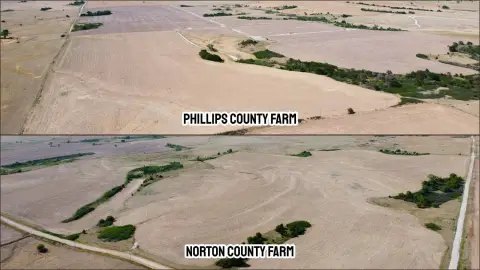 Dryland Farmland with Oil Revenue