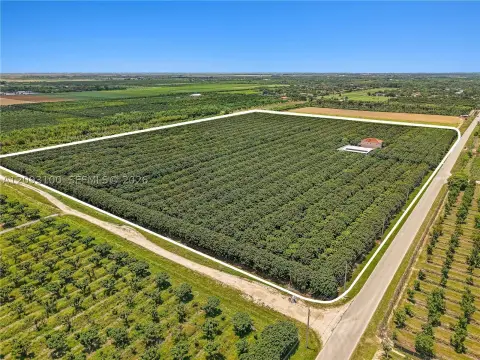 Longan Farm with Residence