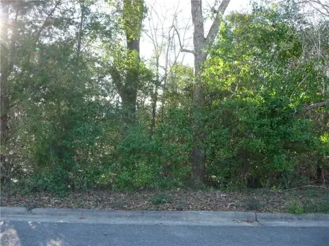 Residential Building Lot in Phenix