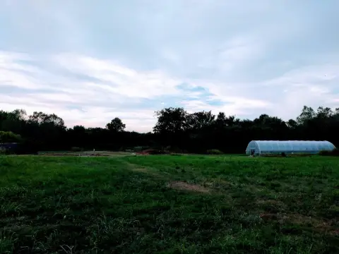 Memphis Land Near I-40 Hwy