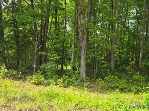 Blackstone Commercial Land Investment Opportunity