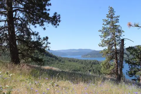 Lake View Acreage in Harrison