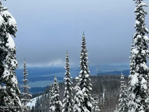 Ski In/Ski Out Homesite