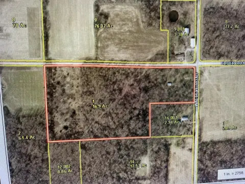 Wooded Recreation Land
