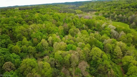 Recreational Land with Hunting Potential