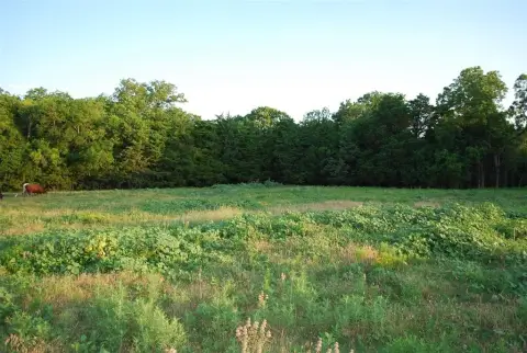 Residential Land Near Lake Hubbard