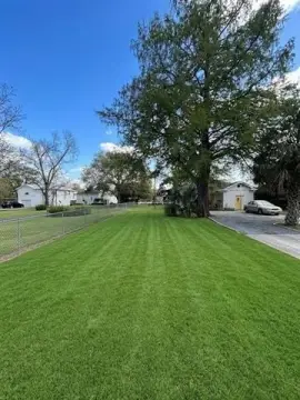 Oversized Vacant Lot Opportunity