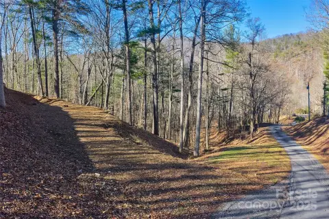 Ready-to-Build Lot in Asheville