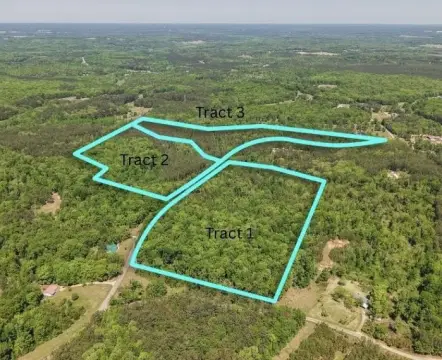Agricultural Land with Mature Timber