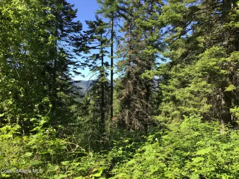 Land with Lake Views