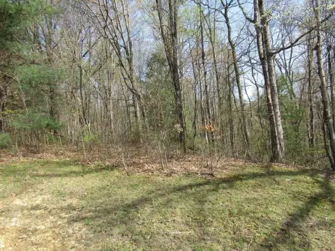 Residential Lot in Beckley, WV