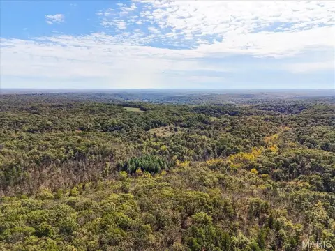 80 Acres of Hunting Land
