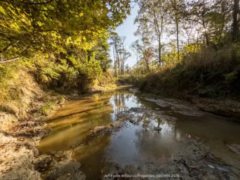 189 Acres of Recreational Timberland