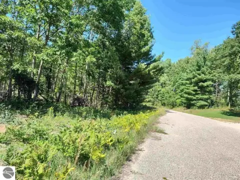 Wooded Lot in Country Subdivision