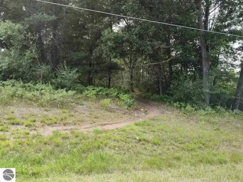 Residential Land in Farwell, MI