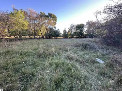 Commercial Land in Alma, MI