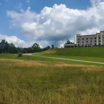 Elkins Commercial Land Opportunity