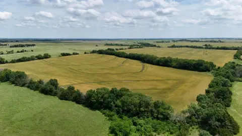 Land Tract With Cropland and Pond
