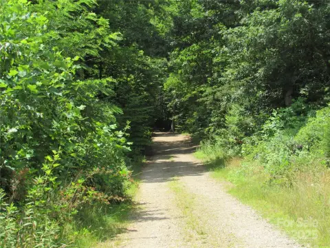 Black Mountain Land with Views