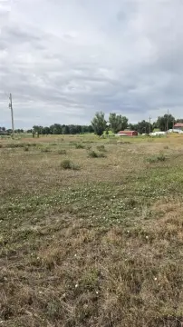 Irrigated Agricultural Land